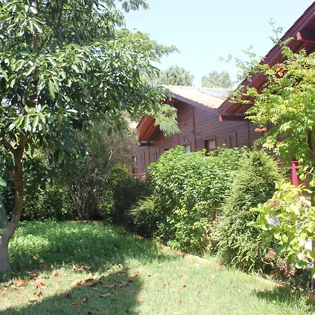 Cozy In Matas With Pool And Jacuzzi Daire