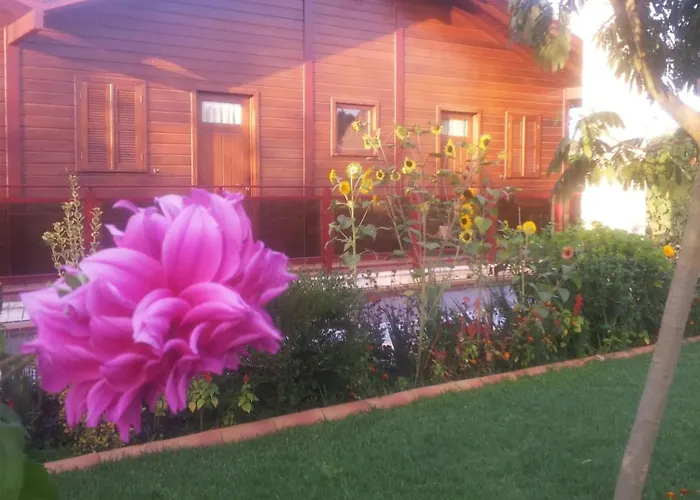 Daire Cozy In Matas With Pool And Jacuzzi Mata (Fornos de Algodres)