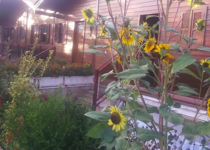 Cozy In Matas With Pool And Jacuzzi * Mata (Fornos de Algodres)