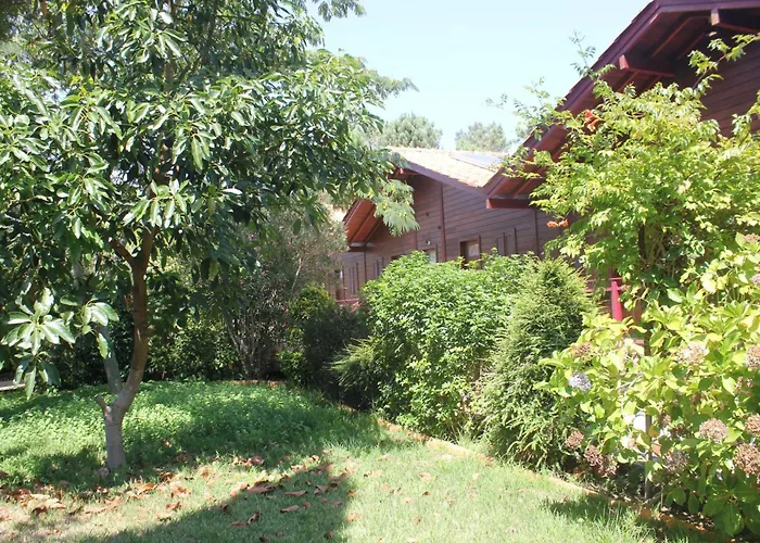 Cozy In Matas With Pool And Jacuzzi Daire